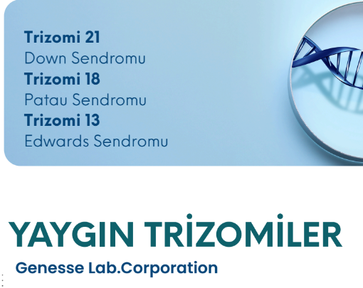 YAYGIN TRİZOMİLER